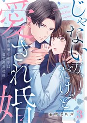 じゃない方、だけど愛され婚～契約婚の相手は一途すぎる社長（3