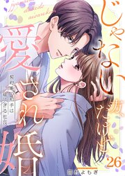 じゃない方、だけど愛され婚～契約婚の相手は一途すぎる社長3 じゃない方、だけど愛され婚～契約婚の相手は一途すぎる社長（26）（最