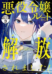 悪役令嬢ルートから解放されました! (3) 悪役令嬢ルートから解放されました！ ～ゲームは終わったので
