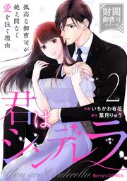 君はシンデレラ～孤高な御曹司が絶え間なく愛を注ぐ理由～【財閥御曹司シリーズ】 1 君はシンデレラ～孤高な御曹司が絶え間なく愛を注ぐ理由～【財閥