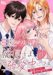 【美品・送料無料】総長さま、溺愛中につき。（全13巻+2.5冊） 総長さま、溺愛中につき。～最強イケメンと愛され寮生活！？～ 分冊版