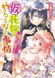 仮花嫁のやんごとなき事情　完結14巻セット