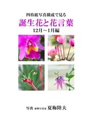 四枚組写真構成で見る誕生花と花言葉１２ １月編 最新刊 アイロゴス フロンティアコミュニケーションズ 無料試し読みなら漫画 マンガ 電子書籍のコミックシーモア