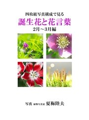 四枚組写真構成で見る誕生花と花言葉２ ３月編 最新刊 アイロゴス フロンティアコミュニケーションズ 無料試し読みなら漫画 マンガ 電子書籍のコミックシーモア