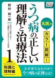 名医がカラー図解 うつ病の正しい理解と治療法 1 知識と理解編 Impress Quickbooks 野村総一郎 無料試し読みなら漫画 マンガ 電子書籍のコミックシーモア