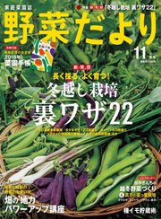 野菜だより 17年11月号 無料試し読みなら漫画 マンガ 電子書籍のコミックシーモア 野菜だより 17年11月号 無料試し読みなら漫画 マンガ 電子書籍のコミックシーモア
