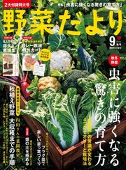 野菜だより 18年9月号 無料試し読みなら漫画 マンガ 電子書籍のコミックシーモア 野菜だより 18年9月号 無料試し読みなら漫画 マンガ 電子書籍のコミックシーモア