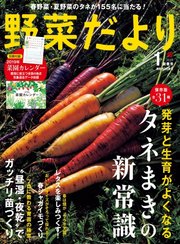 野菜だより 19年1月号 野菜だより 野菜だより編集部 無料試し読みなら漫画 マンガ 電子書籍のコミックシーモア