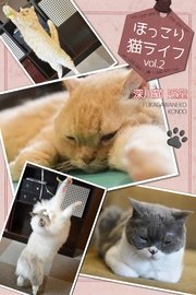 ほっこり猫ライフ Vol 2 最新刊 無料試し読みなら漫画 マンガ 電子書籍のコミックシーモア