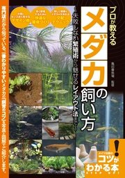 プロが教える メダカの飼い方 失敗しない繁殖術から魅せるレイアウト法まで 最新刊 無料試し読みなら漫画 マンガ 電子書籍のコミックシーモア プロが教える メダカの飼い方 失敗しない繁殖術から魅せるレイアウト法まで 最新刊 無料試し読みなら漫画 マンガ 電子書籍のコミックシーモア