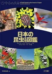 日本の昆虫生態図鑑 最新刊 今井初太郎 無料試し読みなら漫画 マンガ 電子書籍のコミックシーモア