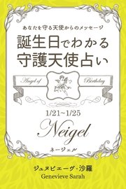 1月21日 1月25日生まれ あなたを守る天使からのメッセージ 誕生日でわかる守護天使占い 得トク文庫 ジュヌビエーヴ 沙羅 無料試し読みなら漫画 マンガ 電子書籍のコミックシーモア