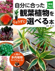 自分に合った観葉植物をじょうずに選べる本 最新刊 実用ｎｏ １シリーズ 薮正秀 無料試し読みなら漫画 マンガ 電子書籍のコミックシーモア