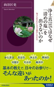 浄土真宗ではなぜ 清めの塩 を出さないのか 最新刊 青春新書インテリジェンス 向谷匡史 無料試し読みなら漫画 マンガ 電子書籍の コミックシーモア 浄土真宗ではなぜ 清めの塩 を出さないのか 最新刊 青春新書インテリジェンス 向谷匡史 無料試し読みなら漫画 マンガ 電子書籍の コミックシーモア