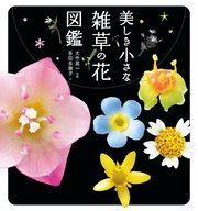 美しき小さな雑草の花図鑑 最新刊 多田多恵子 大作晃一 無料試し読みなら漫画 マンガ 電子書籍のコミックシーモア