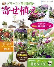 花とグリーン 多肉植物の 寄せ植え 最新刊 ブティック社編集部 無料試し読みなら漫画 マンガ 電子書籍のコミックシーモア