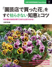 園芸店で買った花 をすぐ枯らさない知恵とコツ 最新刊 主婦の友新実用books 主婦の友社 無料試し読みなら漫画 マンガ 電子書籍のコミックシーモア 園芸店で買った花 をすぐ枯らさない知恵とコツ 最新刊 主婦の友新実用books 主婦の友社 無料試し読みなら漫画 マンガ 電子書籍のコミックシーモア