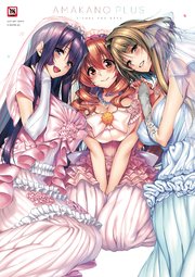 アマカノ メインビジュアル版画 Amazon.co.jp: ピロ水先生 アマカノ2 版画展 額装済 A4サイズ