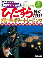 マガジン ギター