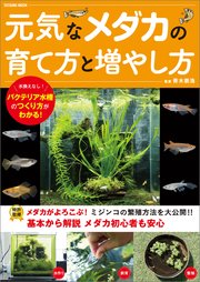 元気なメダカの育て方と増やし方 最新刊 青木崇浩 無料試し読みなら漫画 マンガ 電子書籍のコミックシーモア 元気なメダカの育て方と増やし方 最新刊 青木崇浩 無料試し読みなら漫画 マンガ 電子書籍のコミックシーモア