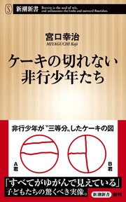 ケーキの切れない非行少年たち 新潮新書 最新刊 新潮新書 宮口幸治 無料試し読みなら漫画 マンガ 電子書籍のコミックシーモア