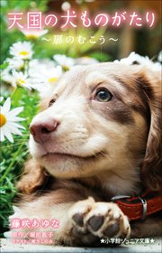 小学館ジュニア文庫 天国の犬ものがたり 扉のむこう 最新刊 小学館ジュニア文庫 藤咲あゆな 堀田敦子 環方このみ 無料試し読みなら漫画 マンガ 電子書籍のコミックシーモア