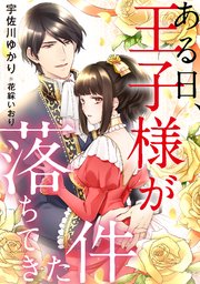 ある日 王子様が落ちてきた件 最新刊 無料試し読みなら漫画 マンガ 電子書籍のコミックシーモア