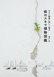 やけに植物に詳しい僕の街のスキマ植物図鑑 最新刊 無料試し読みなら漫画 マンガ 電子書籍のコミックシーモア やけに植物に詳しい僕の街のスキマ植物図鑑 最新刊 無料試し読みなら漫画 マンガ 電子書籍のコミックシーモア