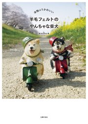 本物よりかわいい 羊毛フェルトのやんちゃな柴犬 最新刊 無料試し読みなら漫画 マンガ 電子書籍のコミックシーモア