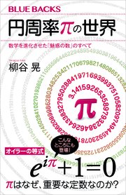 円周率pの世界 数学を進化させた 魅惑の数 のすべて 最新刊 ブルーバックス 柳谷晃 無料試し読みなら漫画 マンガ 電子書籍のコミックシーモア
