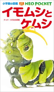 小学館の図鑑neoポケット イモムシとケムシ チョウ ガの幼虫図鑑 最新刊 小学館の図鑑neo 鈴木知之 横田光邦 筒井学 無料試し読みなら漫画 マンガ 電子書籍のコミックシーモア 小学館の図鑑neoポケット イモムシとケムシ チョウ ガの幼虫図鑑 最新刊 小学館の図鑑neo 鈴木知之 横田光邦 筒井学 無料試し読みなら漫画 マンガ 電子書籍のコミックシーモア