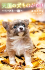 小学館ジュニア文庫 天国の犬ものがたり いつも一緒 最新刊 小学館ジュニア文庫 藤咲あゆな 堀田敦子 無料試し読みなら漫画 マンガ 電子書籍のコミックシーモア