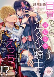 目覚めたら 見知らぬイケメン騎士とえっちしてました 記憶喪失の新妻は甘くみだらに思い悩む 1巻 最新刊 E ティアラ 悠月彩香 トガシ 無料試し読みなら漫画 マンガ 電子書籍のコミックシーモア