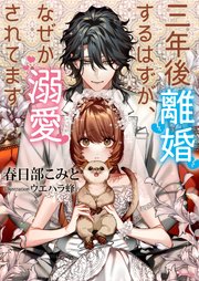 書籍詳細 - 三年後離婚するはずが、なぜか溺愛されてます～蜜月