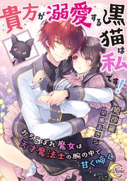 貴方が溺愛する黒猫は私です おちこぼれ魔女は天才魔法士の腕の中で甘く啼く シーモア限定特典ss付 最新刊 E ノワール 姫沙羅 早瀬あきら 無料試し読みなら漫画 マンガ 電子書籍のコミックシーモア