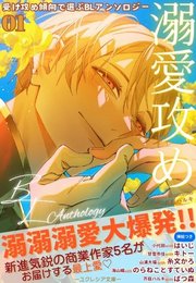 商業BL 40冊まとめ売り 商業 BL 漫画 27冊まとめ売り - メルカリ
