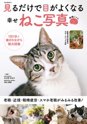 なぜか惹かれる方へ 幸運の猫目 ご縁のお守り 体験談あり fit=scale