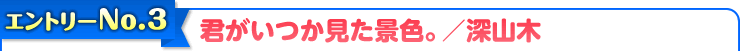 君がいつか見た景色。/深山木