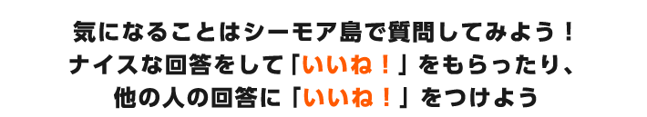 気になることはシーモア島で質問してみよう！