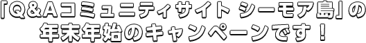 「Q&Aコミュニティサイト　シーモア島」の年末年始のキャンペーンです！
