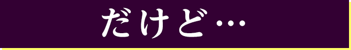 だけど…