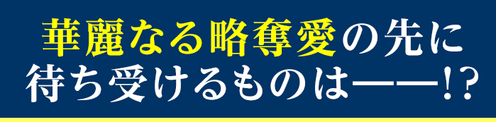 華麗なる略奪愛の先に待ち受けるものは――!?