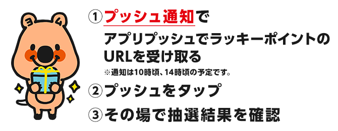 抽選方法