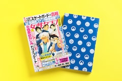 付録の両面コミックスカバーの使用イメージ (c)青山剛昌／小学館 (c)NAOJ