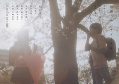 実写映画「秒速5センチメートル」ティザービジュアル第2弾 (c)2025「秒速5センチメートル」製作委員会