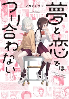 「夢と恋ではつり合わない」