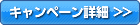 キャンペーン詳細
